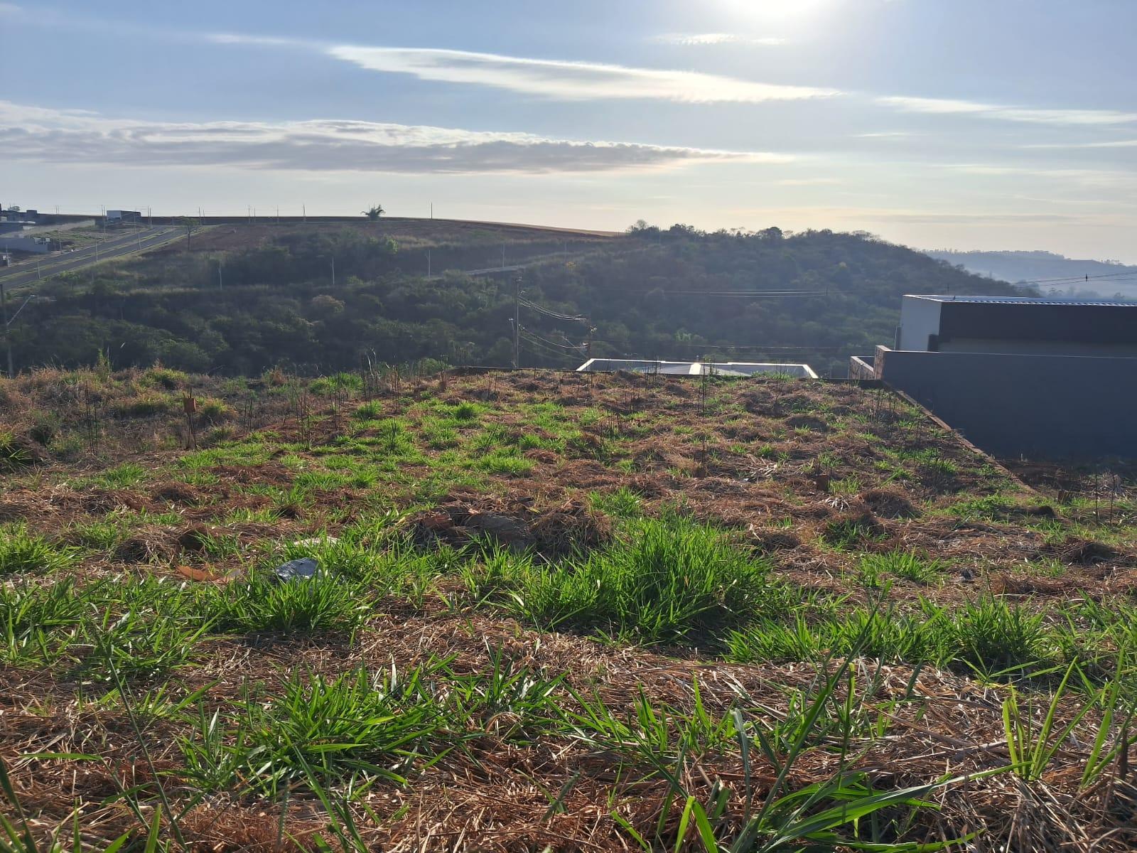 Imagem 3 do imóvel TE0059