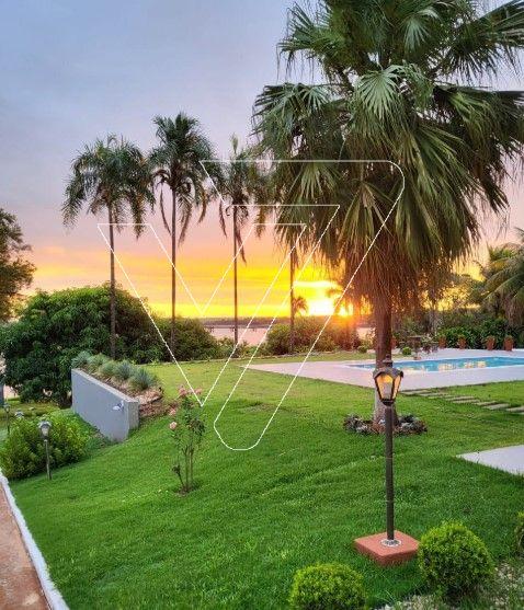 Imagem do WhatsApp de 2025-08-27 à(s) 18.53.02_1852fcb9