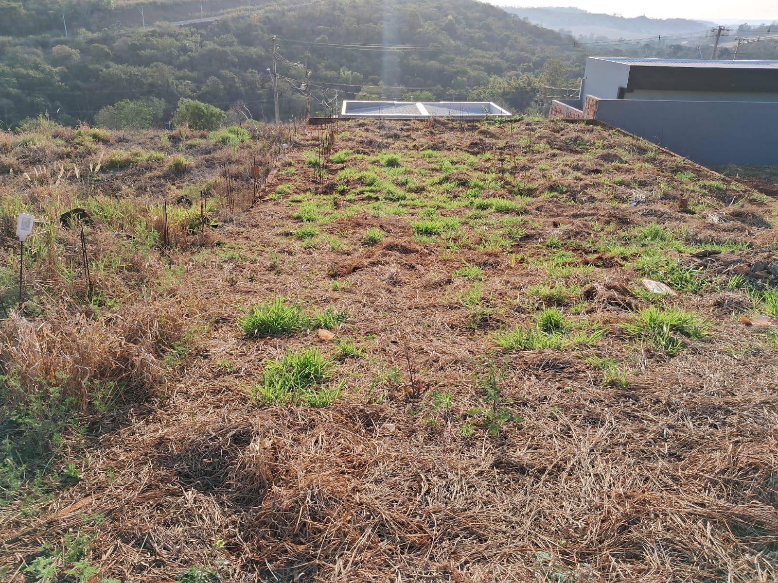 WhatsApp Image 2025-09-05 at 08.05.52